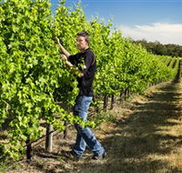 Patrick of Coonawarra - Accommodation Mount Tamborine