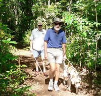 Wongabel State Forest - Accommodation Mount Tamborine