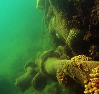 Wreck Diving at Magnetic Island - Accommodation Mount Tamborine