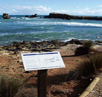 Cape Buffon Walking Trail - Accommodation Mount Tamborine