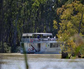Wetlander Cruises - Accommodation Mount Tamborine 2