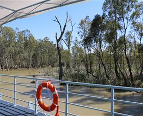 Wetlander Cruises - Accommodation Mount Tamborine 6
