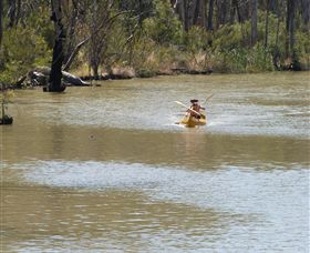 Wetlander Cruises - Accommodation Mount Tamborine 5