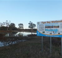 Tiger Bay Wetlands - Accommodation Mount Tamborine
