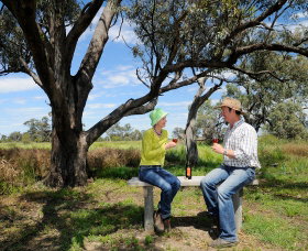 Restdown Wines And Walking Trail - Accommodation Mount Tamborine 0