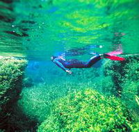 Piccaninnie Ponds Conservation Park - Accommodation Mount Tamborine