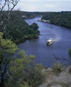 Drik Drik VIC Accommodation Mount Tamborine