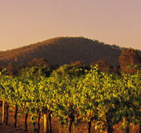 Taltarni Vineyards - Accommodation Mount Tamborine