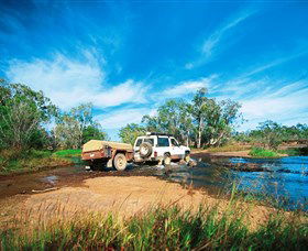 Rinyirru (Lakefield) National Park (CYPAL) - Accommodation Mount Tamborine 0