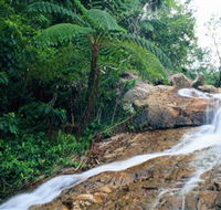 Finch Hatton Gorge - Accommodation Mount Tamborine