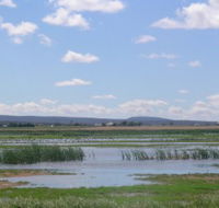 Fivebough Wetlands - Accommodation Mount Tamborine