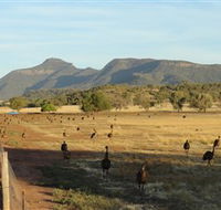 Emu Logic - Accommodation Mount Tamborine