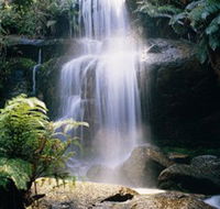Mount Buangor State Park - Accommodation Mount Tamborine