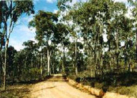  Accommodation Mount Tamborine