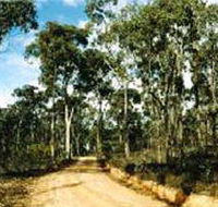 Paddys Ranges State Park - Accommodation Mount Tamborine