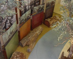 Barmah Forest Heritage And Education Centre - Accommodation Mount Tamborine 4