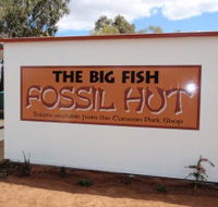 Big Fish Fossil Hut at Peak Hill - Accommodation Mount Tamborine