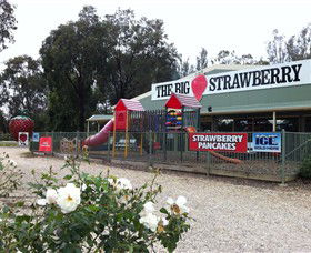 Muckatah VIC Accommodation Mount Tamborine