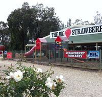 The Big Strawberry - Accommodation Mount Tamborine