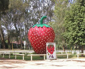 The Big Strawberry - Accommodation Mount Tamborine 1