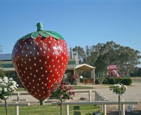 The Big Strawberry - Accommodation Mount Tamborine 2