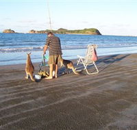 Cape Hillsborough National Park - Accommodation Mount Tamborine