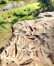 Terramungamine Rock Grooves - Accommodation Mount Tamborine 0