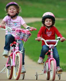 Tracker Riley Cycleway - Accommodation Mount Tamborine 1