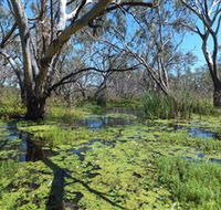 Macquarie Valley Trails - Accommodation Mount Tamborine