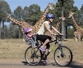 Taronga Western Plains Zoo, Dubbo - Accommodation Mount Tamborine 2