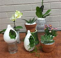 Cobram Florist - Accommodation Mount Tamborine