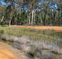 Beni State Conservation Area - Accommodation Mount Tamborine