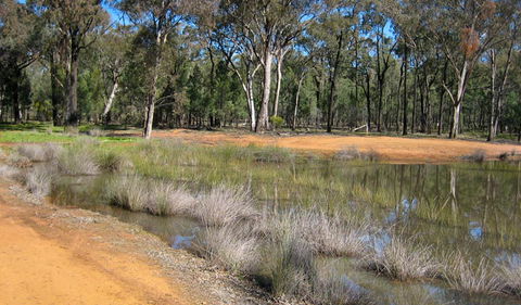 Beni State Conservation Area - Accommodation Mount Tamborine 0