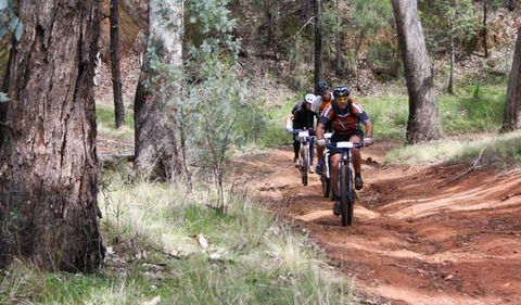 Beni State Conservation Area - Accommodation Mount Tamborine 2