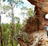 Pilliga National Park - Accommodation Mount Tamborine