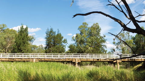 Pilliga National Park - Accommodation Mount Tamborine 3