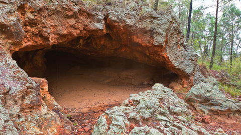 Pilliga National Park - Accommodation Mount Tamborine 1