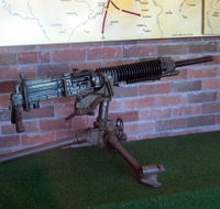 Woodpecker Gun - Accommodation Mount Tamborine