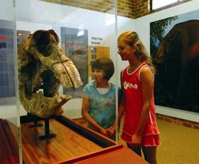 Australian Museum Diprotodon Exhibition - Accommodation Mount Tamborine 0