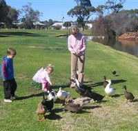 Roy Little Park Merredin - Accommodation Mount Tamborine