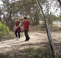 Tamma Parkland - Accommodation Mount Tamborine
