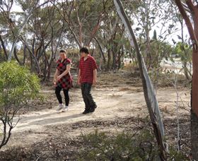 Tamma Parkland - Accommodation Mount Tamborine 0