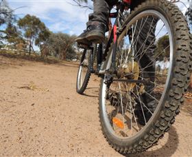 Tamma Parkland - Accommodation Mount Tamborine 1