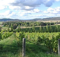 Sassy Wines - Accommodation Mount Tamborine