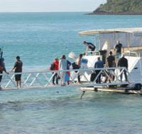 Scuba Diving on Keswick Island - Accommodation Mount Tamborine