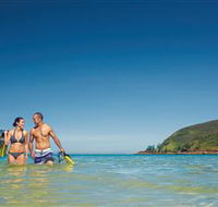 Snorkelling on Keswick Island - Accommodation Mount Tamborine