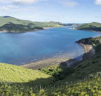The Cremer Shipwreck Dive Site - Keswick Island - Accommodation Mount Tamborine