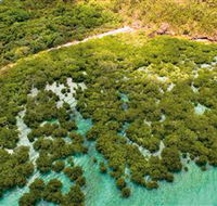 The Singapore Shipwreck Dive Site - Keswick Island - Accommodation Mount Tamborine