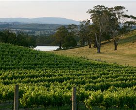 Baynton VIC Accommodation Mount Tamborine