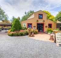 Springhill Nursery - Accommodation Mount Tamborine